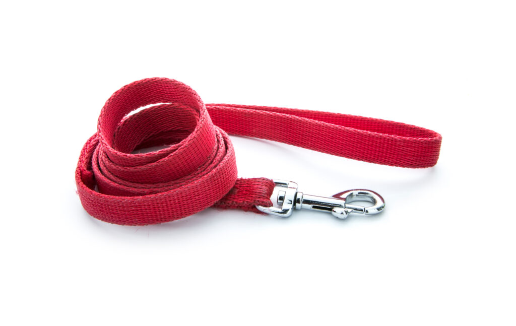 Used red dog leash isolated on white background